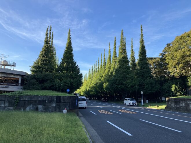 【報告】EAA Lecture Series Course 東京の地霊を再訪する 第1回「明治神宮——なぜゲニウス・ロキ（地霊）が問題なのか？」